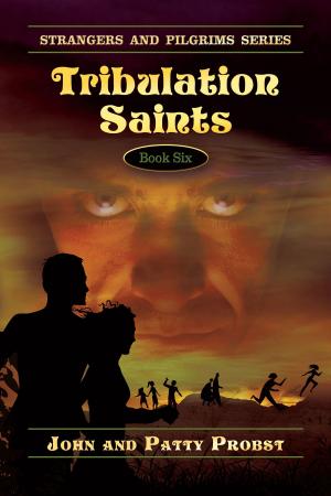 Cover of the book Tribulation Saints by Jamie Lee Silver, Benjamin Lee Silver