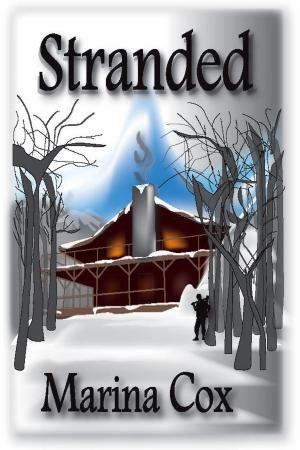 Cover of the book Stranded by J.D. Bennett