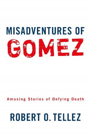 Cover of the book Misadventures of Gomez by Gabriel Flores Arredondo