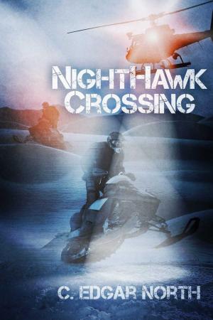 Cover of the book NightHawk Crossing by J. C. Padgett