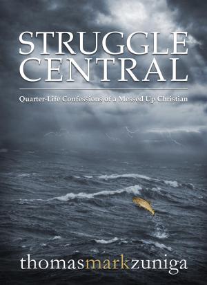 Cover of the book Struggle Central by Peter A. Gudmundsson