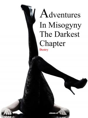Cover of the book Adventures In Misogyny by Tom Wilson