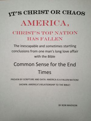 Cover of the book America, Christ's Top Nation has Fallen by Kara Noelle Anderson