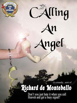 Book cover of Calling An Angel