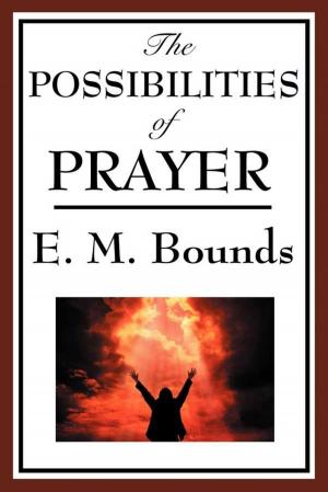 Cover of the book The Possibility of Prayer by Mike Lewis
