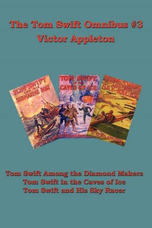 Cover of the book The Tom Swift Omnibus #3 by Robert E. Howard