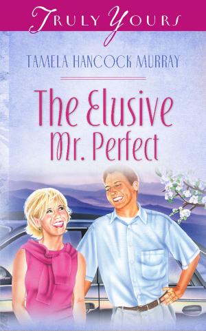 Cover of the book The Elusive Mr. Perfect by Jennifer Johnson