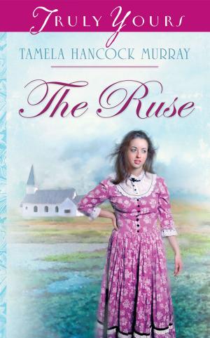 Cover of the book The Ruse by Anita C. Donihue
