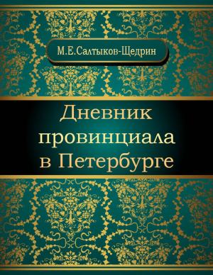 Cover of Дневник провинциала в Петербурге
