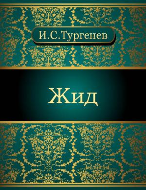 Cover of the book Жид by Holley Dovetail