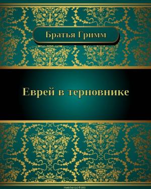 Book cover of Еврей в терновнике