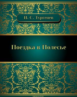 Cover of the book Поездка в Полесье by Михаил Евграфович Салтыков-Щедрин