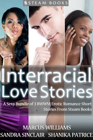 Cover of the book Interracial Love Stories - A Sexy Bundle of 3 BWWM Erotic Romance Short Stories From Steam Books by Carly Katz, Steam Books