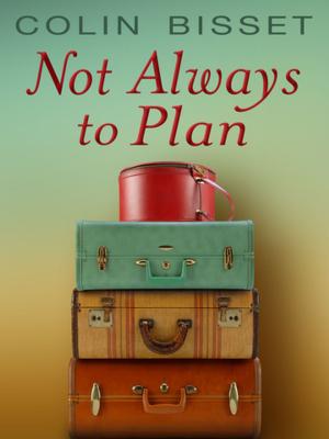 Cover of the book Not Always to Plan by Mandasue Heller