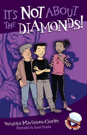 Cover of the book It's Not About the Diamonds! by Julie Johnston