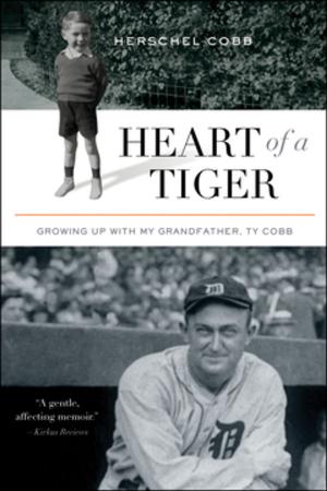 Cover of the book Heart of a Tiger by Jae Waller
