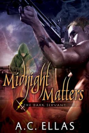 Cover of the book Midnight Matters by Celine Chatillon