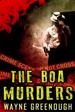 Cover of the book The Boa Murders by Stefan Angelina McElvain