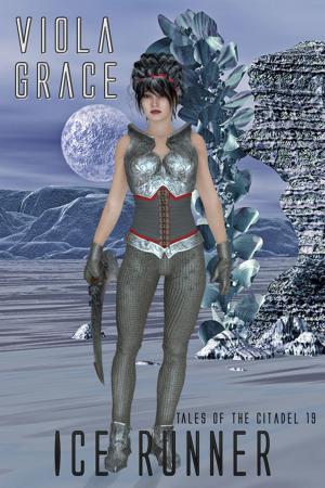 Cover of the book Ice Runner by Celine Chatillon