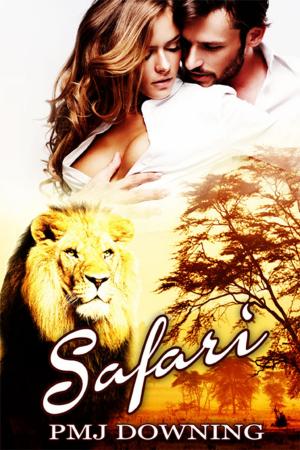 Cover of the book Safari by Tierney O'Malley