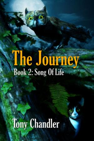Cover of the book The Journey by Kate Saundby