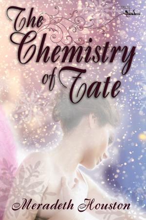 Cover of the book The Chemistry of Fate by Jolie Pethtel