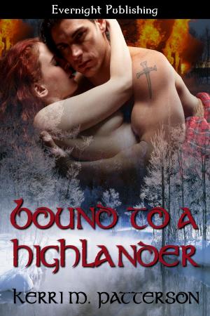 Cover of the book Bound to a Highlander by Naomi Clark
