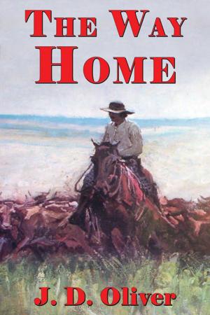 Cover of the book The Way Home by Sioux Dallas