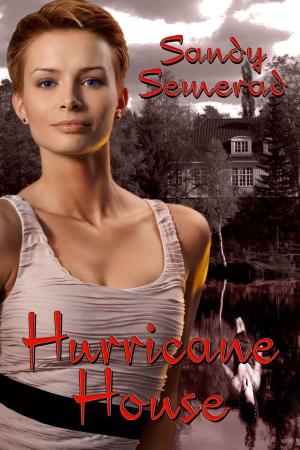 Cover of the book Hurricane House by Joanie MacNeil