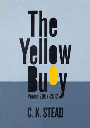 Cover of the book The Yellow Buoy by Raewyn Dalziel