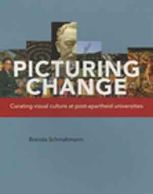 Book cover of Picturing Change