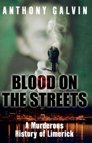Cover of the book Blood on the Streets by Jan de Vries