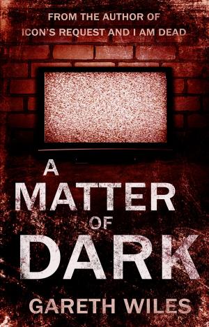 Cover of the book A Matter of Dark by Jill D. Davey, Sergey Dzugan
