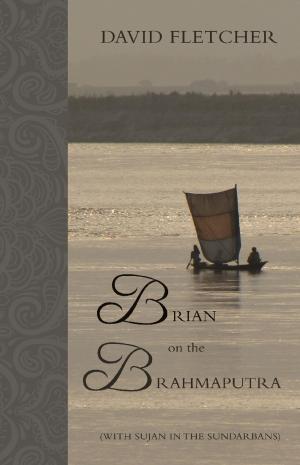 Cover of the book Brian on the Brahmaputra by M. T. Hallgarth