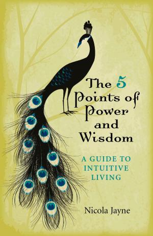 Cover of the book The 5 Points of Power and Wisdom by Masha Tupitsyn