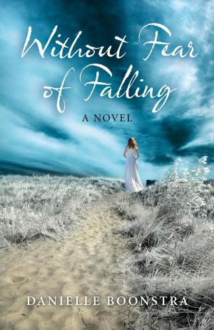 Cover of the book Without Fear of Falling by Camilla Damkjaer