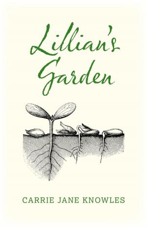 Cover of the book Lillian's Garden by Douglas Murphy