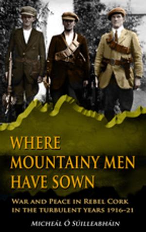 Cover of the book Where Mountainy Men Have Sown:War and Peace in Rebel Ireland 1916–21 by Debbie Deegan