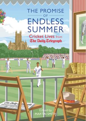Cover of the book The Promise of Endless Summer by Gavin Stamp
