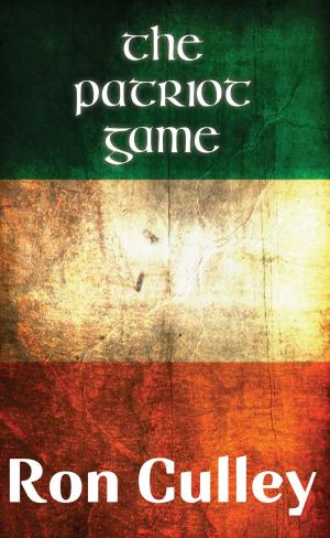 Cover of the book The Patriot Game by Kari Trumbo