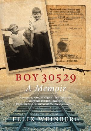 Cover of the book Boy 30529 by Walter Benjamin