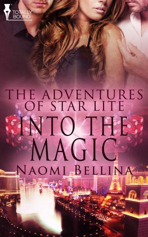Cover of the book Into the Magic by Naomi Bellina
