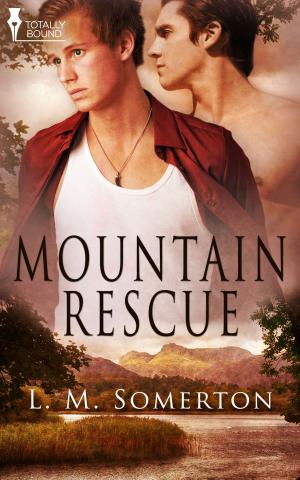 Book cover of Mountain Rescue