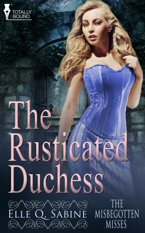 Cover of the book The Rusticated Duchess by Carol Lynne