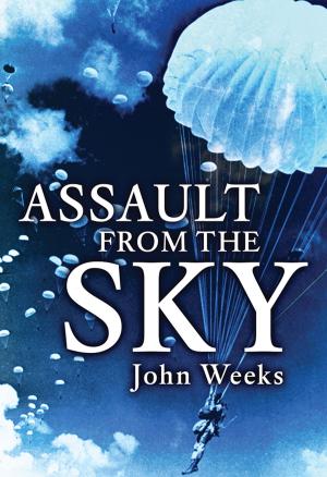 Cover of the book Assault From the Sky by Professor Robert P. Waxler
