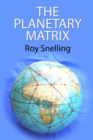 Book cover of The Planetary Matrix