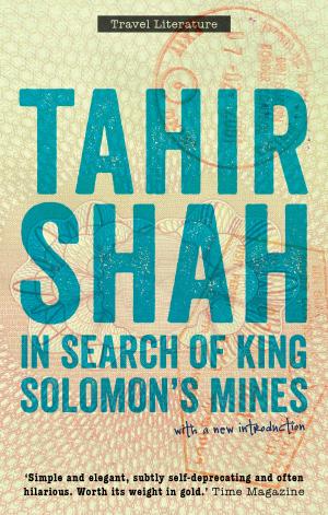 Cover of In Search of King Solomons Mines