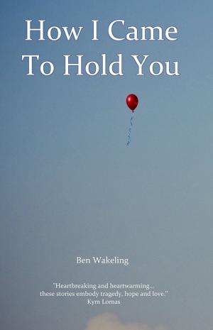 bigCover of the book How I Came To Hold You by 