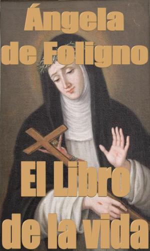 Cover of the book El Libro de la vida by Medson Barreto