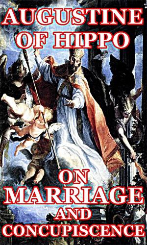 Cover of the book On Marriage and Concupiscence by Hieronymus